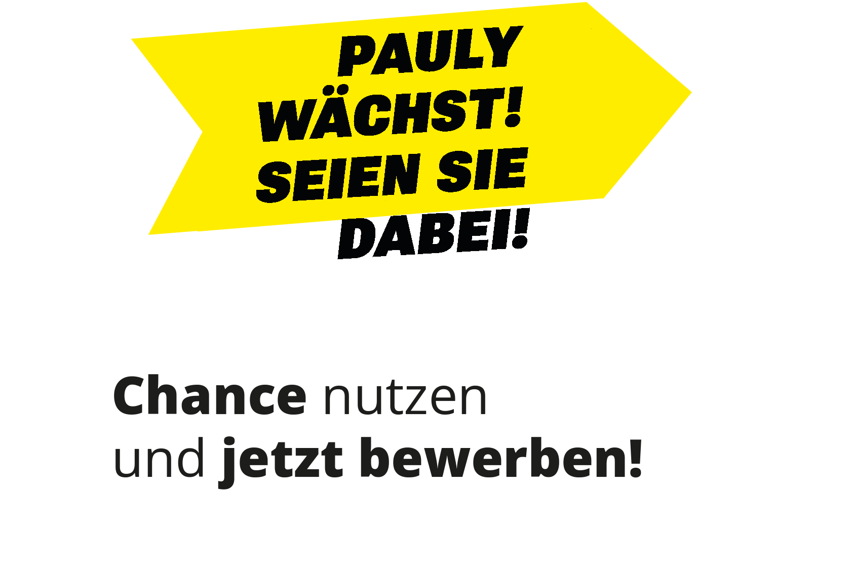 You never work alone! Pauly GmbH